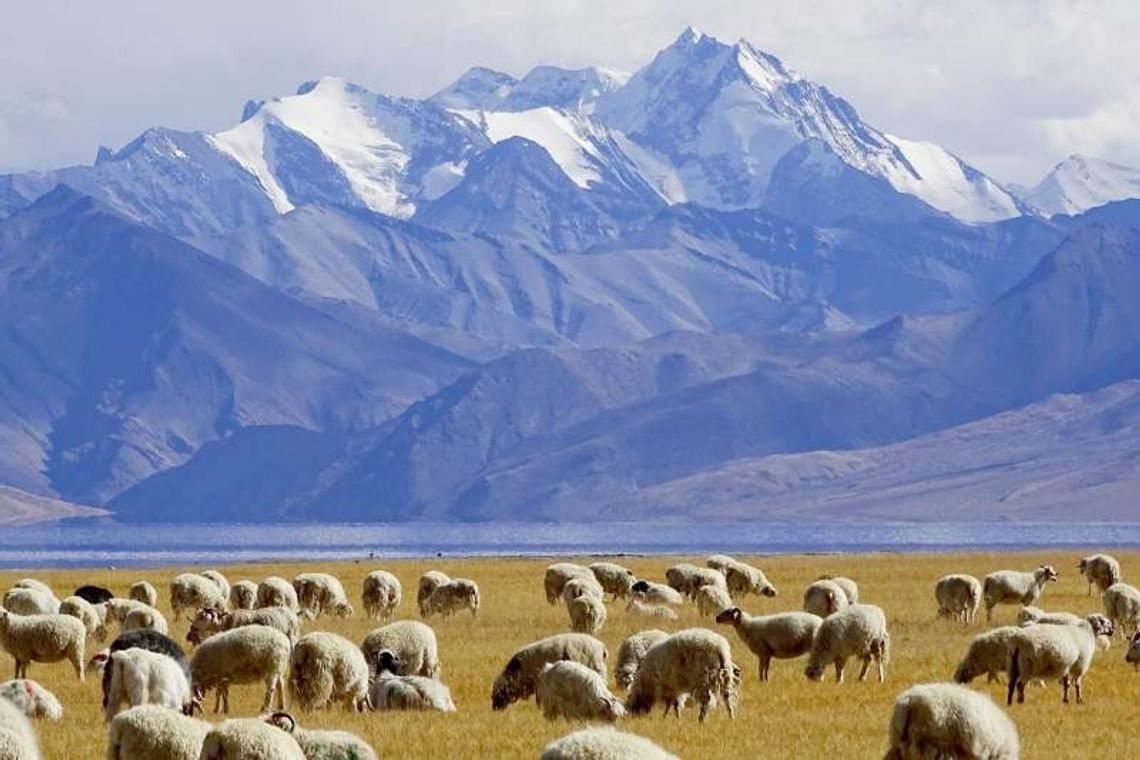 Podróżnicy z Konopnicy. 7110 kilometrów \"Zielonym Osiołkiem” po Indiach