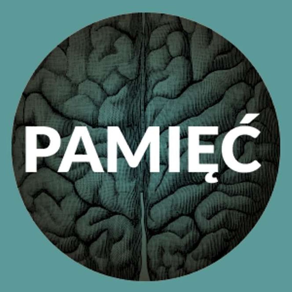 Podsumowanie warsztatów w DDK Węglin