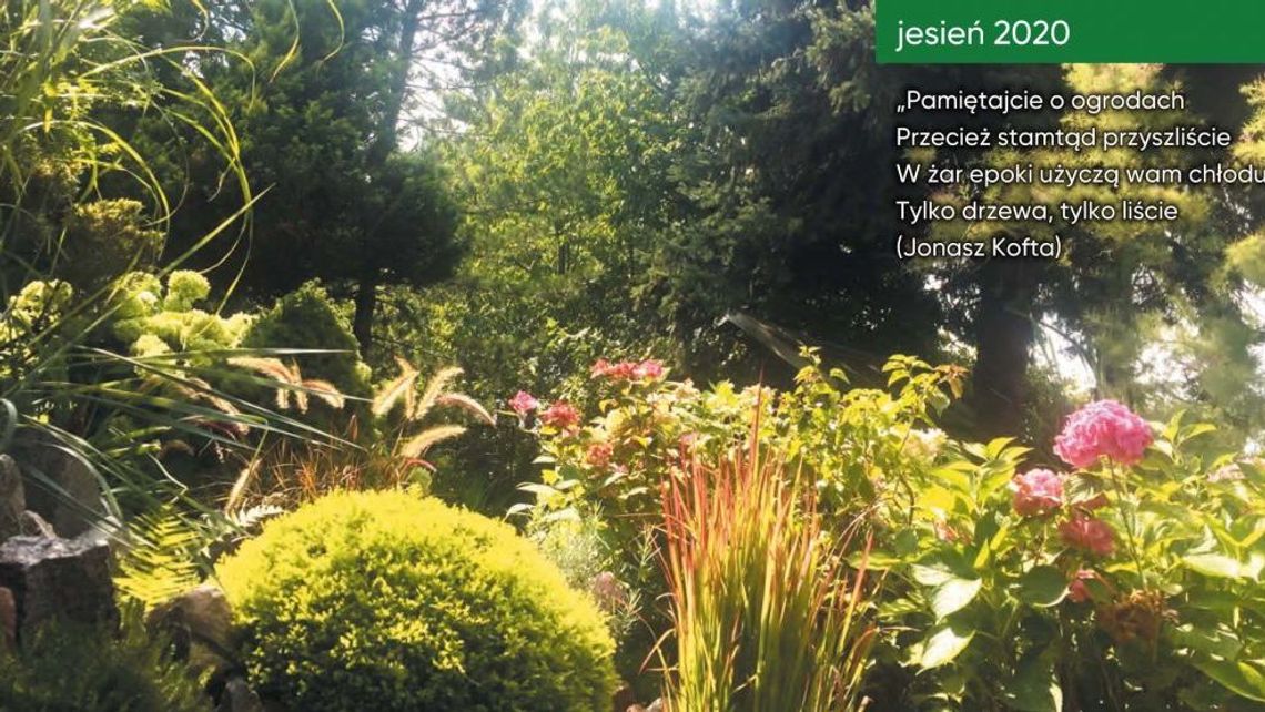 "Pogadajmy o ogrodach". Spotkanie działkowców w DK LSM "Pogadajmy o ogrodach". Spotkanie działkowców w DK LSM