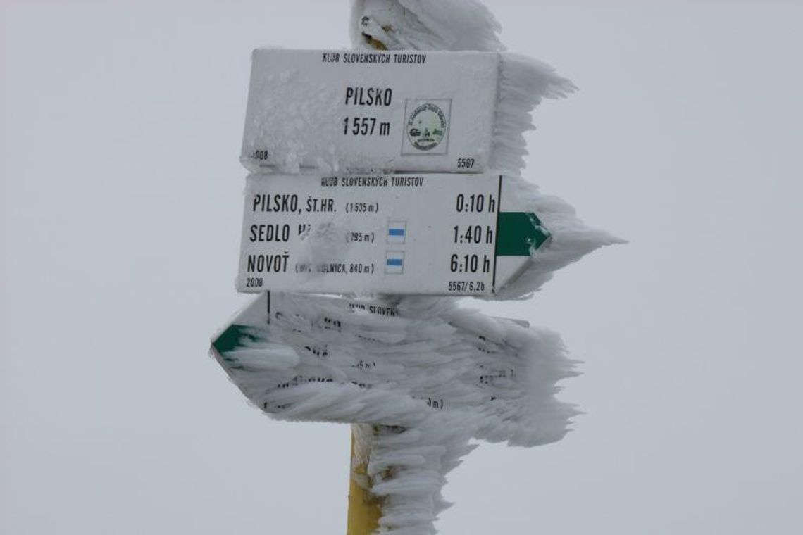 Pogoda: Będzie deszczowo i zimno. W górach spadnie śnieg
