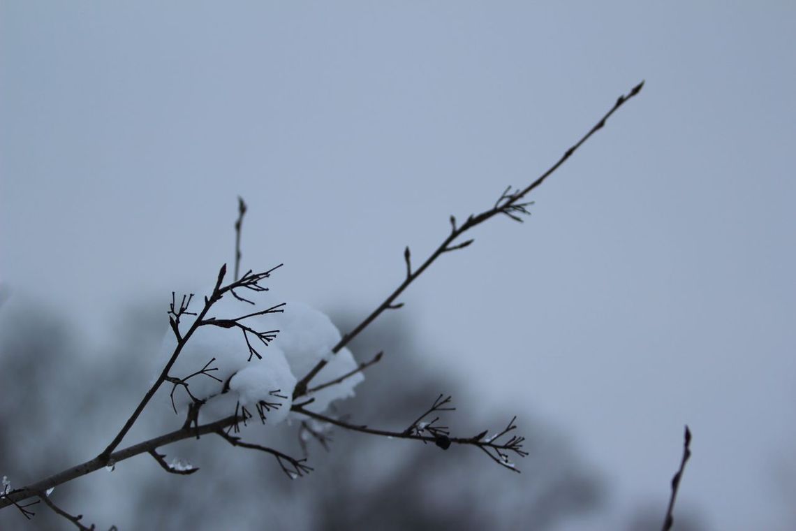 Pogoda: Koniec ocieplenia. Wraca mróz