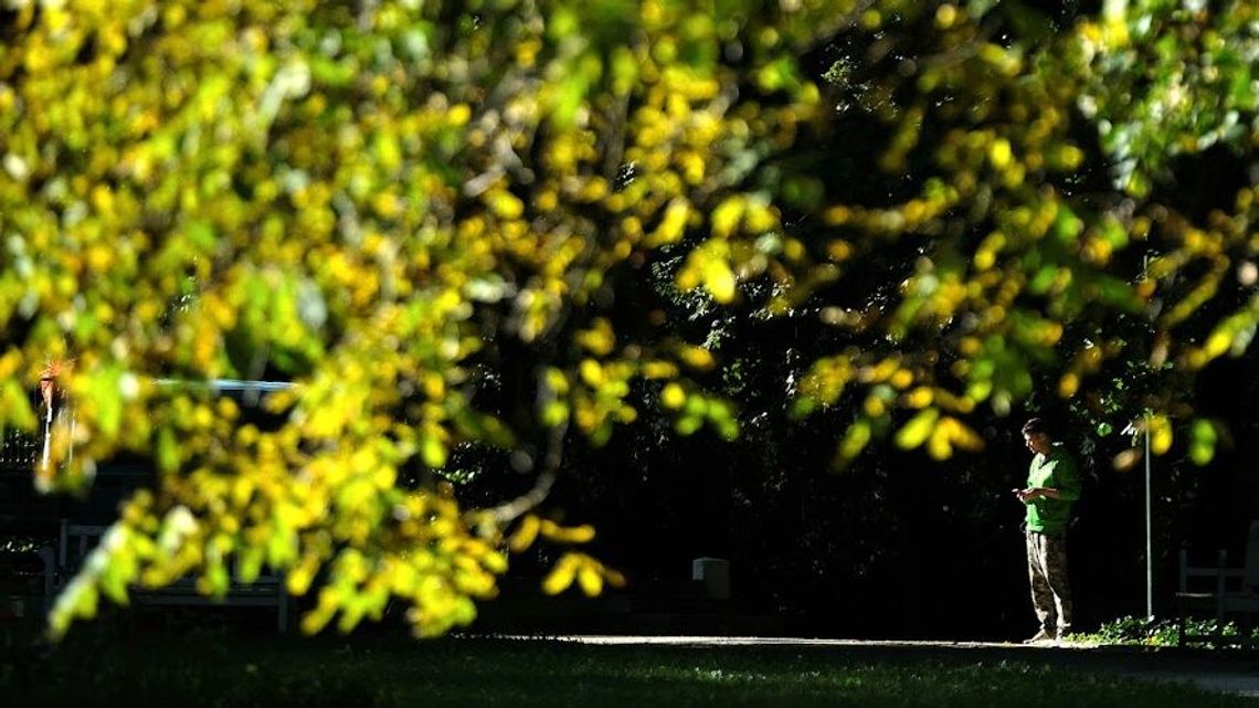 Pogoda na najbliższe dni. Jak spadnie deszcz to tylko miejscami