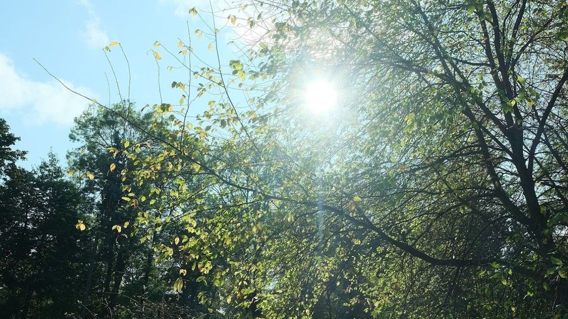 Pogoda na najbliższe dni. Letnie temperatury i dużo słońca