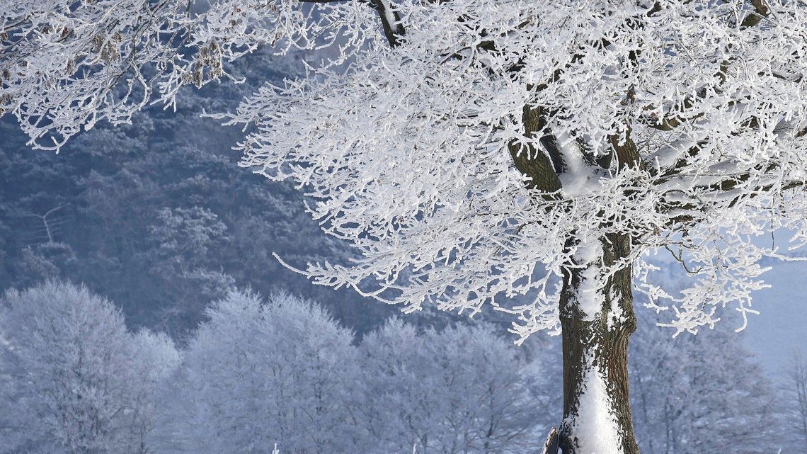 Pogoda na święta 2019. Kiedy spadnie śnieg? Rozmowa z meteorologiem