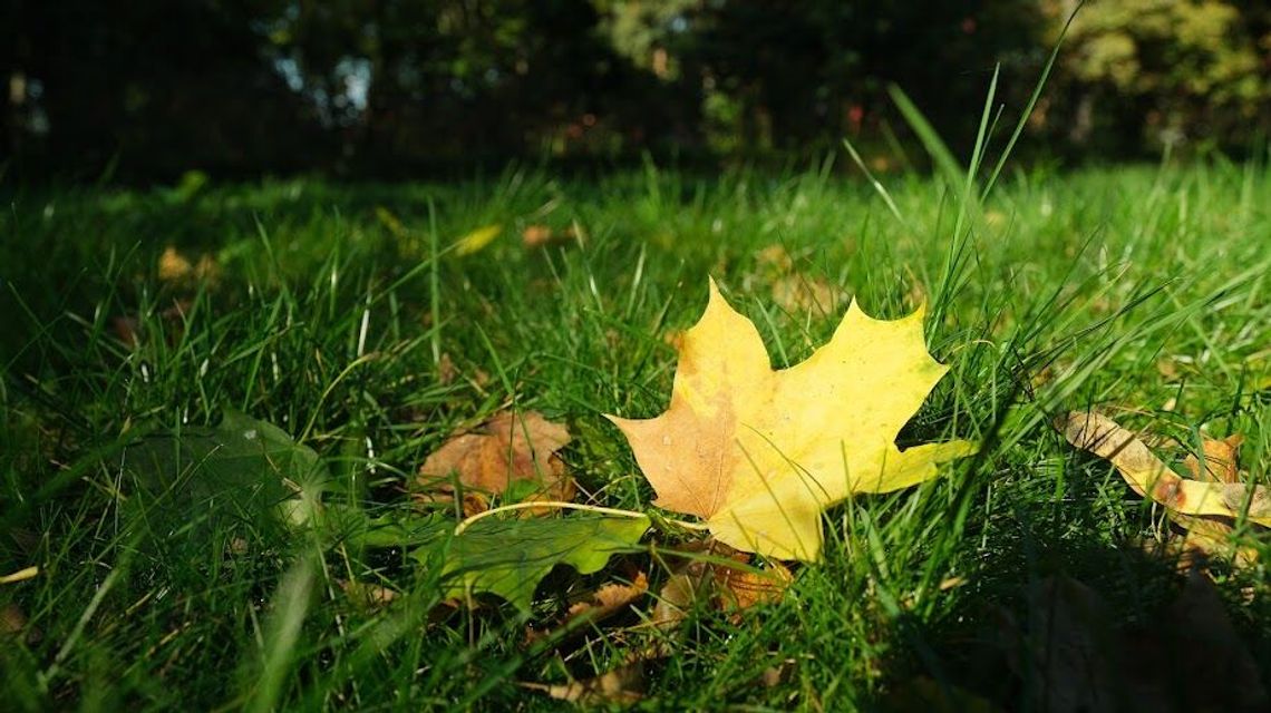 Pogoda na weekend. Pochmurno i raczej zimno