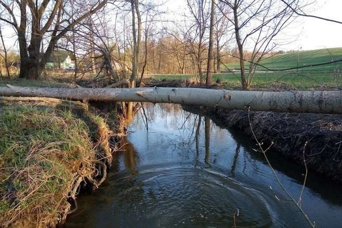 Pogoda na Wielkanoc 2017. Ostrzeżenie pogodowe Pogoda na Wielkanoc 2017. Ostrzeżenie pogodowe