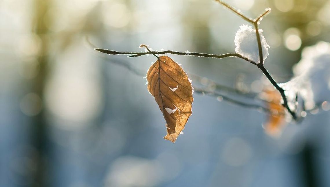 Pogoda: Nadchodzi ochłodzenie, w Lubelskiem możliwy śnieg