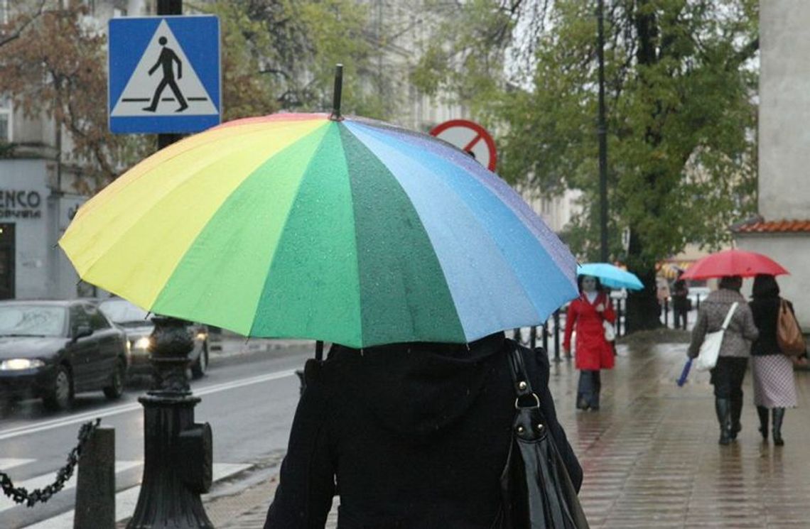 Pogoda: W Lublinie deszczowo, ale nie trzeba skrobać szyb Pogoda: W Lublinie deszczowo, ale nie trzeba skrobać szyb