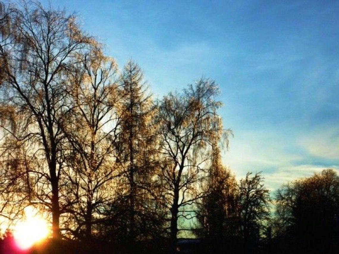 Pogoda w Lublinie: Jesień zamiast zimy. Nawet 8 stopni Celsjusza