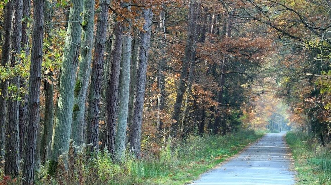Pogoda w sobotę. Pochmurno, ale ciepło