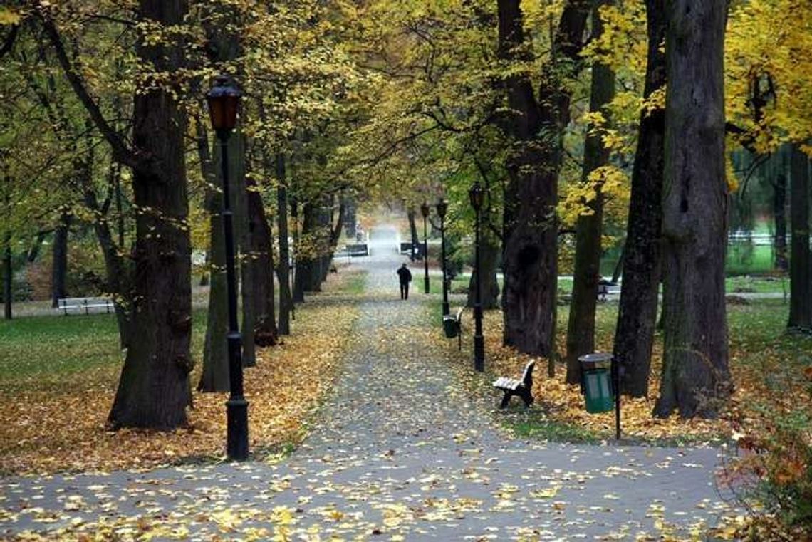Pogoda w weekend będzie nam sprzyjać Pogoda w weekend będzie nam sprzyjać
