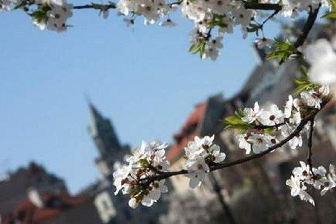 Pogoda: W weekend ciepło i burzowo