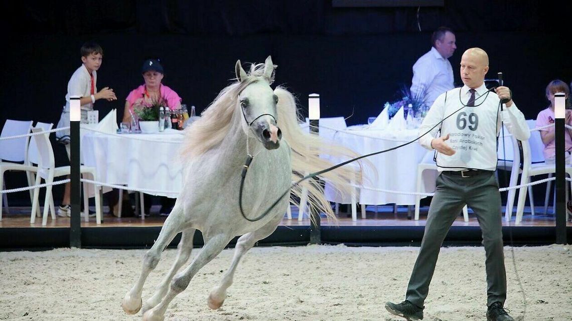 Pokaz przed Pride of Poland 2023