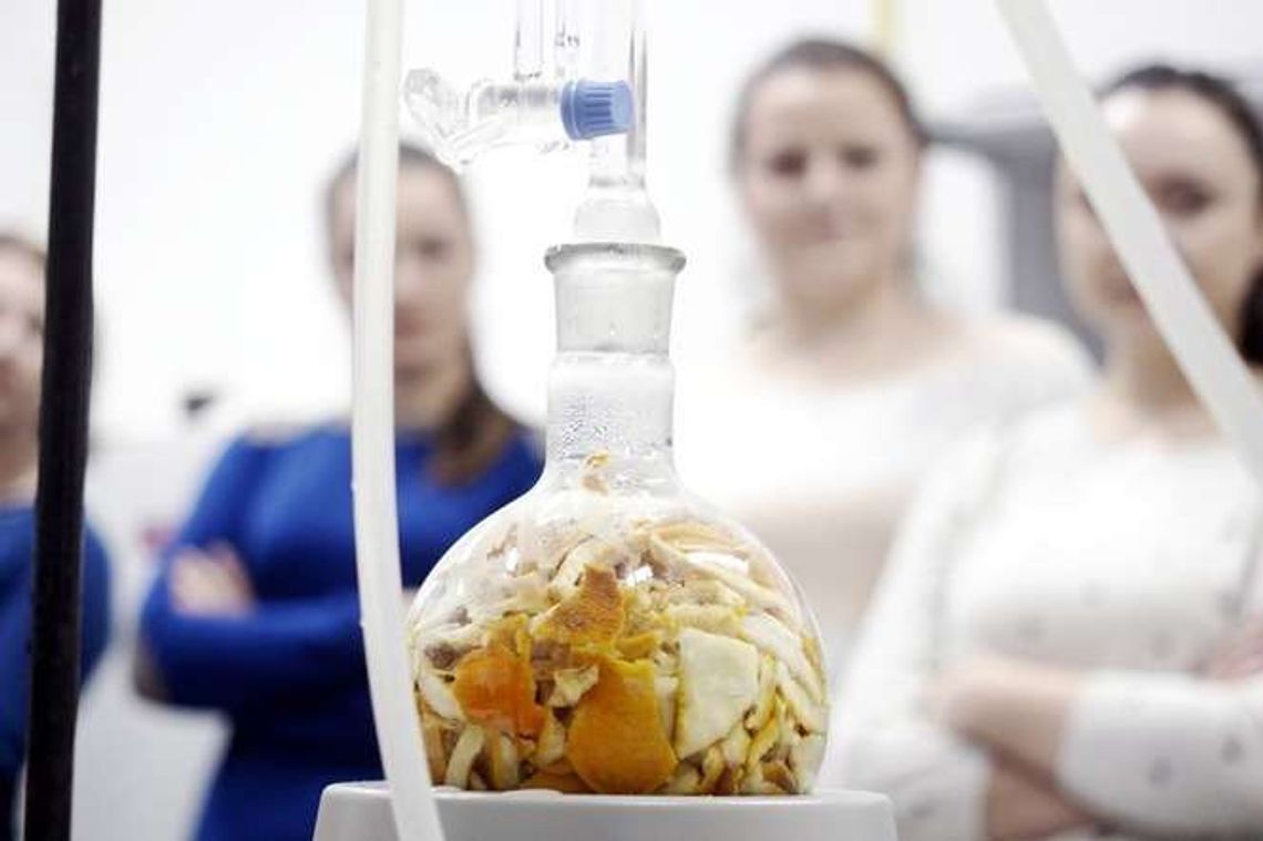 Pokazy, warsztaty i spotkania. Noc Biologów w Lublinie