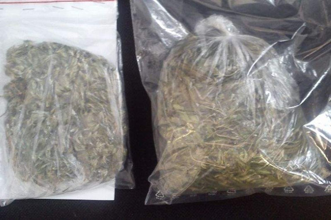 Pół kilograma marihuany. Dwaj 19-latkowie aresztowani