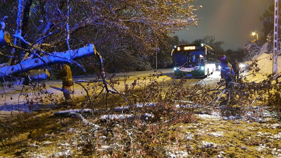 Połamane drzewa, uszkodzone samochody. Ponad 40 interwencji i wciąż przybywa nowych