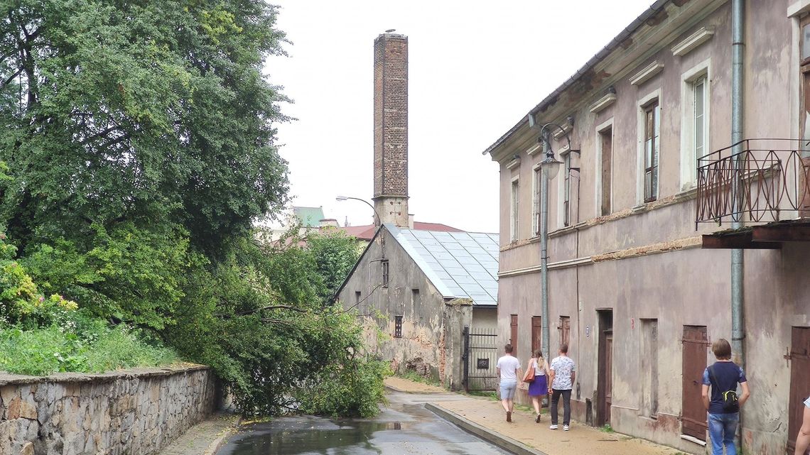Połamane drzewa, zalane piwnice. Nagła ulewa nad Lublinem Połamane drzewa, zalane piwnice. Nagła ulewa nad Lublinem