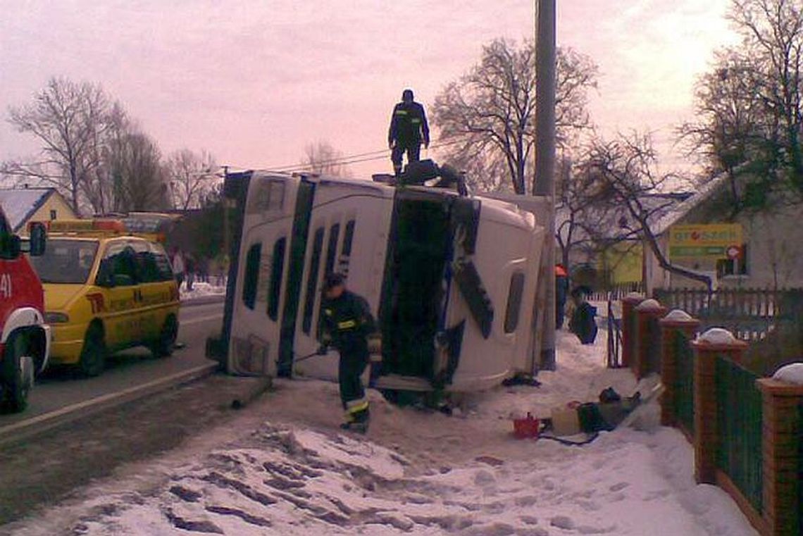Polichna: Ciężarówka przewożąca 150 świń przewróciła się 