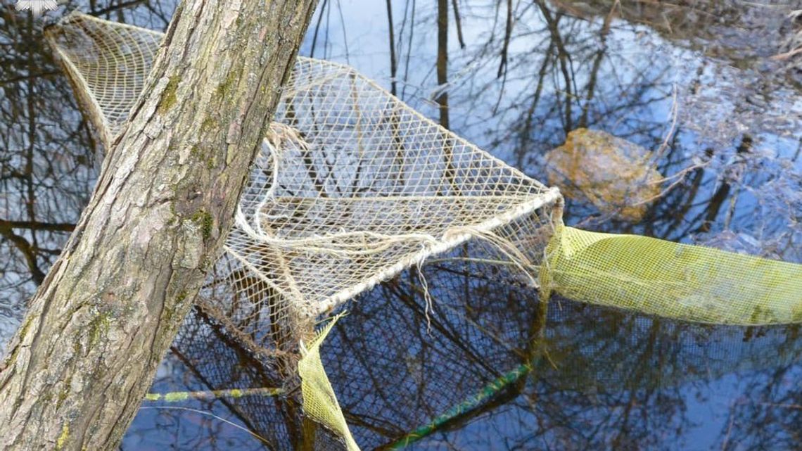 Policja ściga kłusowników. Trzech wpadło na gorącym uczynku Policja ściga kłusowników. Trzech wpadło na gorącym uczynku
