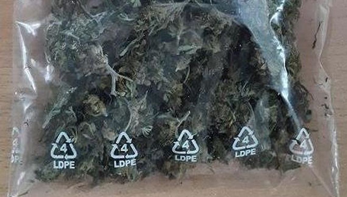 Policjanci dostali informację o 28-latku. W szafce kuchennej znaleźli susz Policjanci dostali informację o 28-latku. W szafce kuchennej znaleźli susz