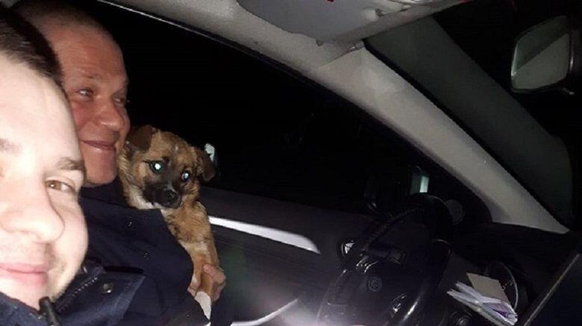 Policjanci na pomoc szczeniakom Policjanci na pomoc szczeniakom