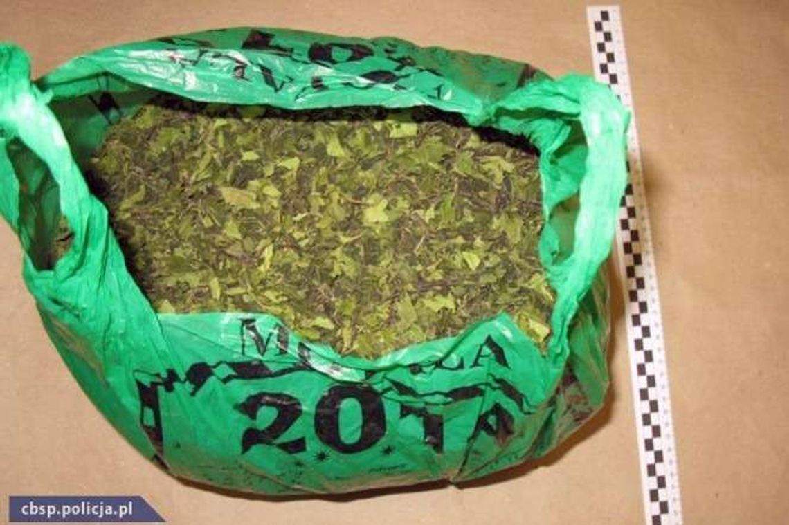Policjanci przejęli 6 kilogramów afrykańskiego narkotyku