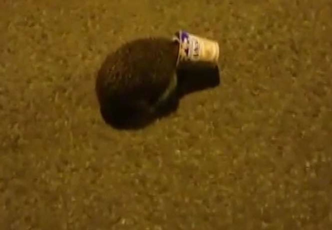 Policjanci uratowali jeża z opresji. I pochwalili się tym