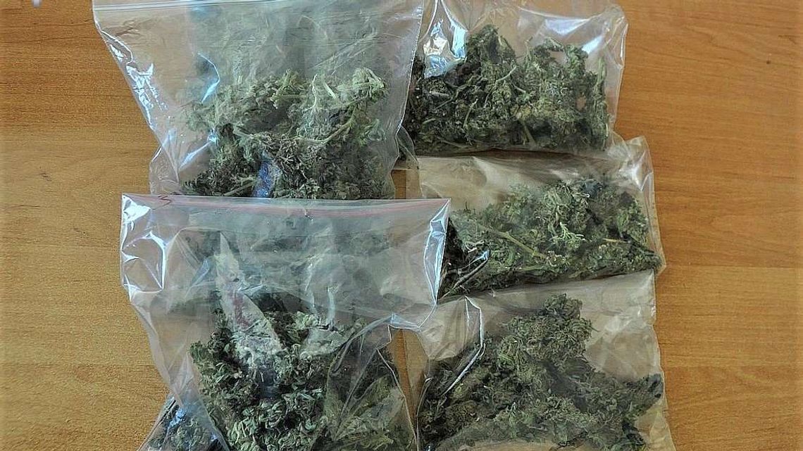 Policjanci weszli do dwóch mieszkań. Znaleźli trzy kilogramy marihuany