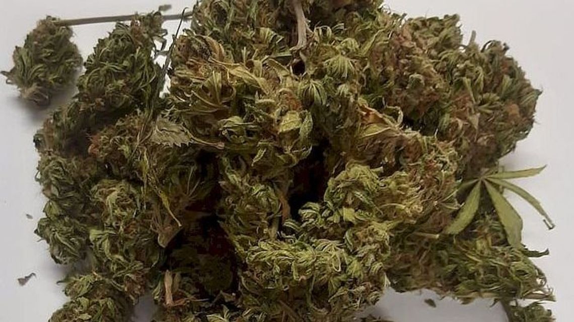 Policjanci weszli do mieszkania w Puławach. Znaleźli nietypową szafę Policjanci weszli do mieszkania w Puławach. Znaleźli nietypową szafę