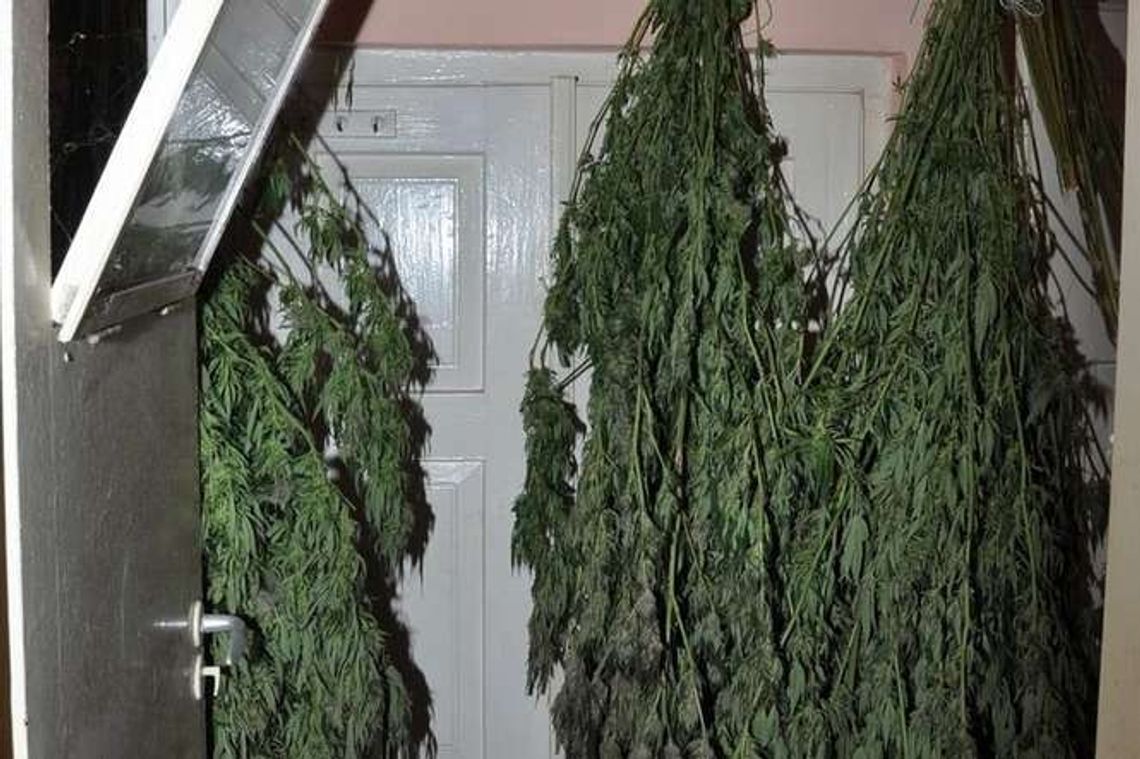 Policjanci weszli do pustego mieszkania. Narkotyki były ukryte w piecu kaflowym