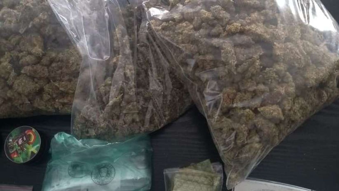 Policjanci weszli na posesję 25-latka z Lublina. Oto co znaleźli [wideo]