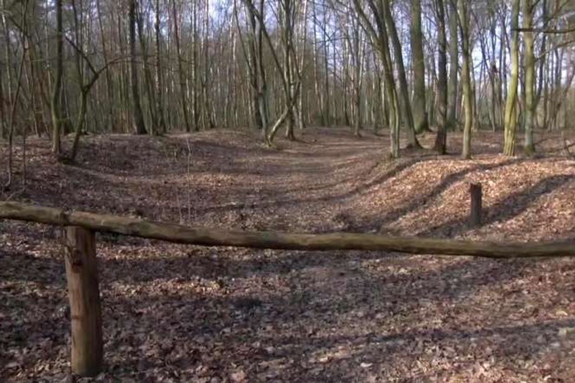 Policjant zastrzelił wspólnika w lesie. Koniec śledztwa Policjant zastrzelił wspólnika w lesie. Koniec śledztwa