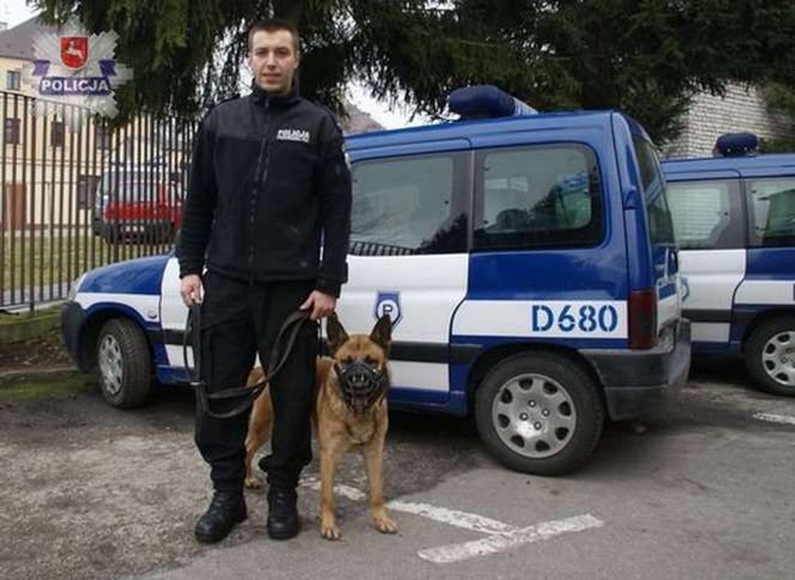 Policyjny pies Ibar szybko wytropił włamywacza