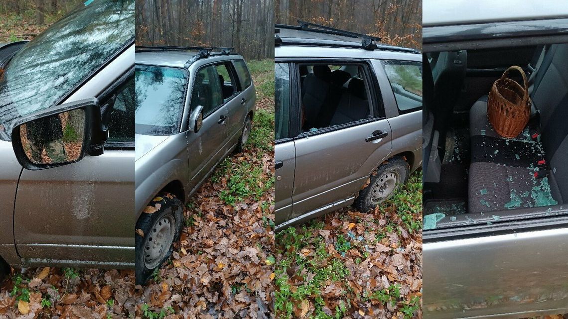 Polowanie, interwencja policji, a na koniec wybita szyba i przebite opony. Co się wydarzyło w lesie?