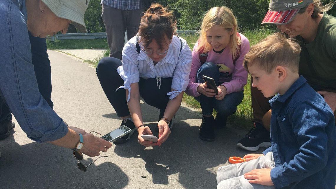 Polowanie na ważki Polowanie na ważki