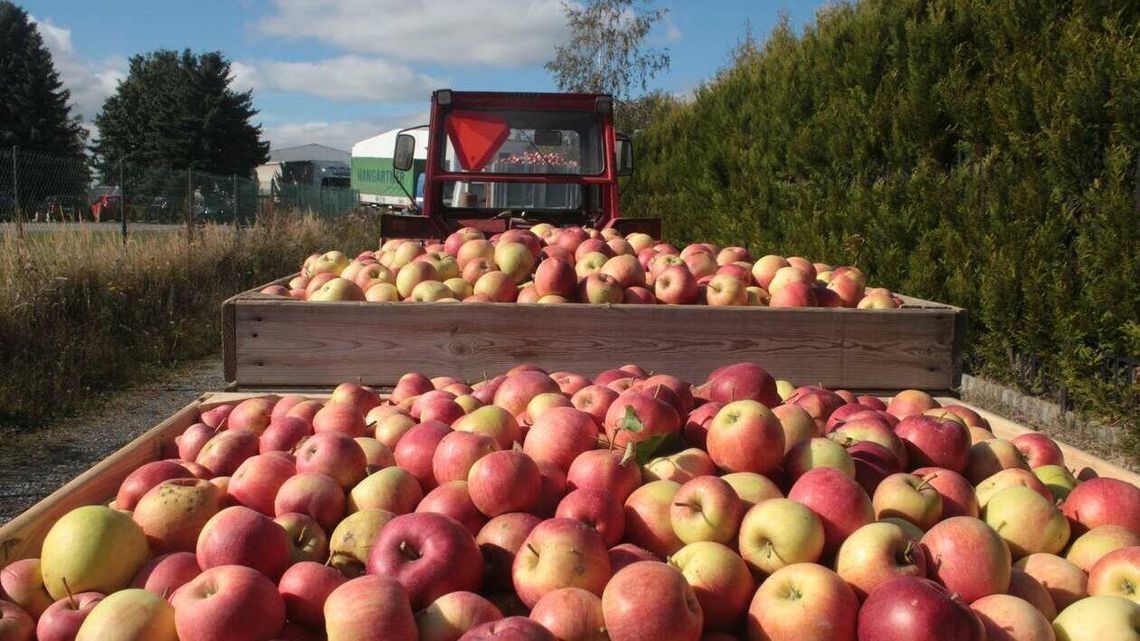 Polska jabłkami stoi, ale wyrastają problemy