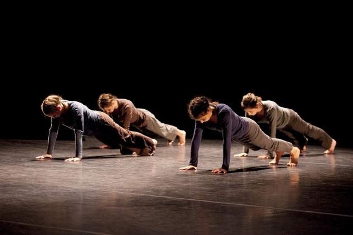 Polska Platforma Tańca. Werdykt