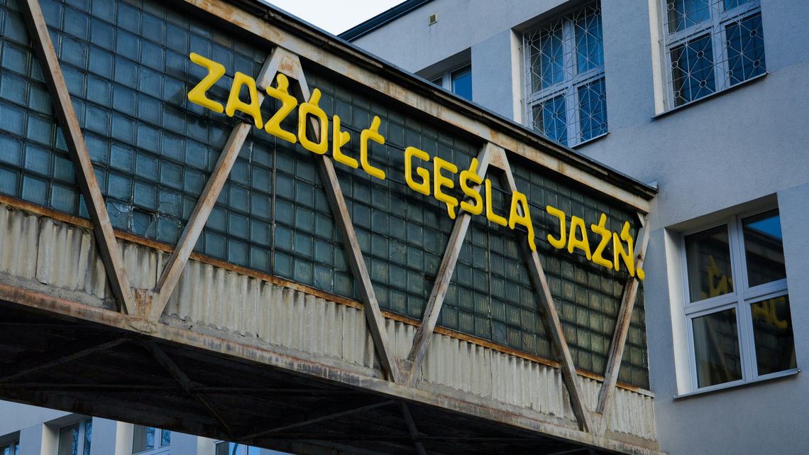 Polski język - trudna język. Dzień języka ojczystego Polski język - trudna język. Dzień języka ojczystego