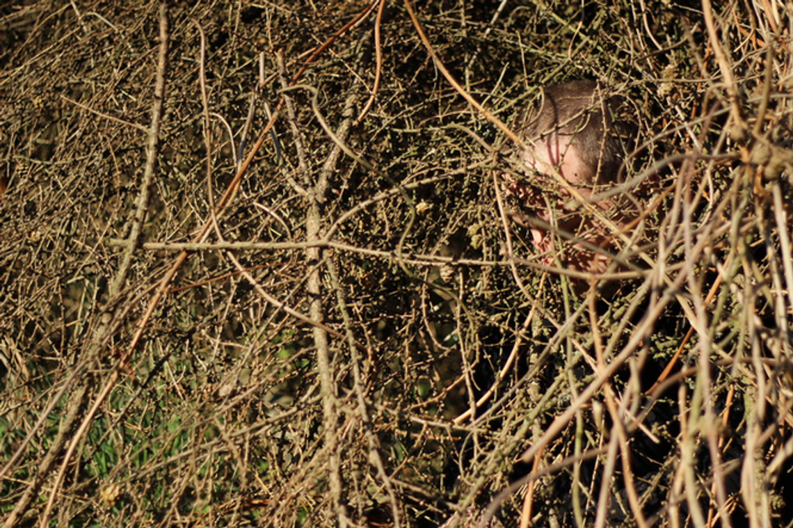 "Polski las". Nowa wystawa w Galerii Białej "Polski las". Nowa wystawa w Galerii Białej