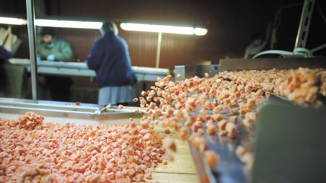 Polskie zakłady będą miały problem? Niemcy otwierają rynek pracy m.in. dla Ukraińców