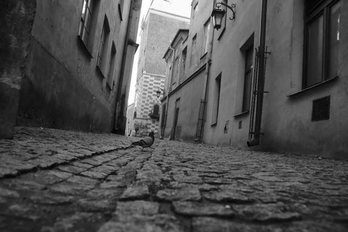 Półświatek z zaświatów. Gdzie w Lublinie były domy publiczne?