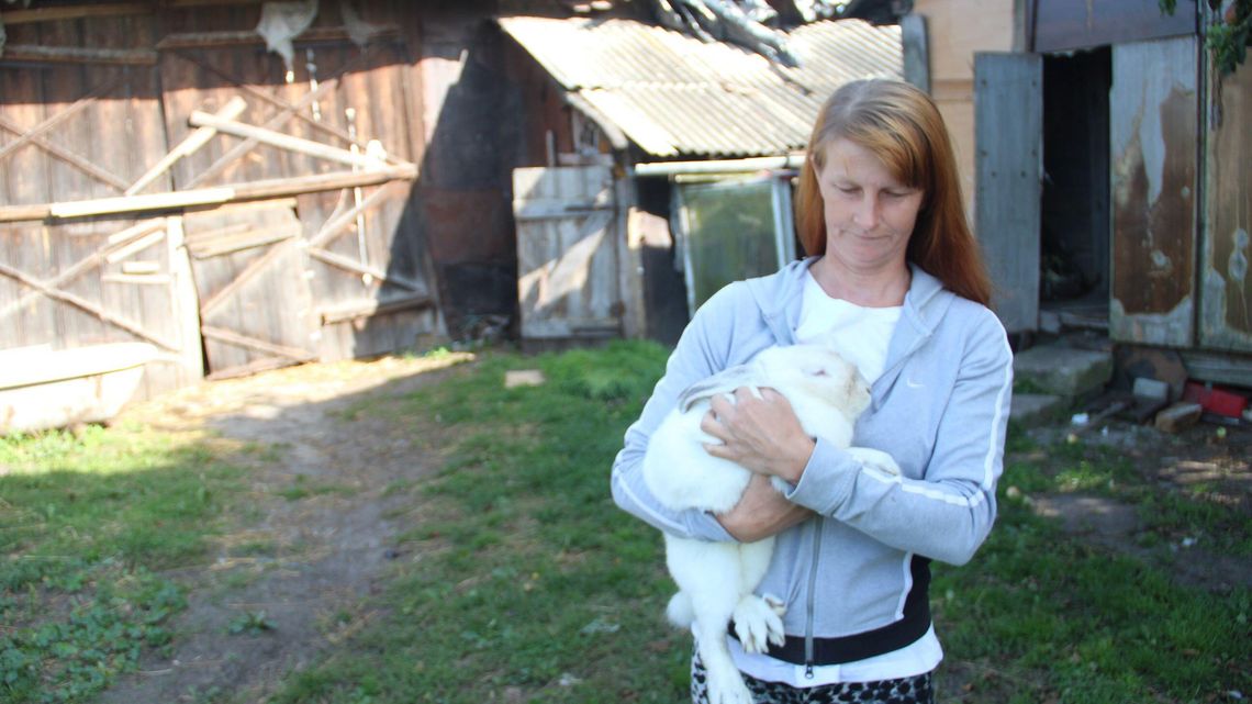 Pomagała psom i kotom, ale też innym zwierzętom. I przez to ma teraz problemy Pomagała psom i kotom, ale też innym zwierzętom. I przez to ma teraz problemy