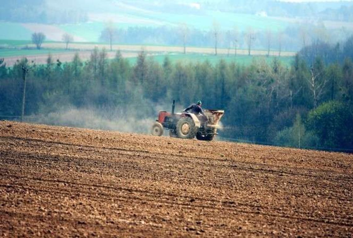 Pomoc dla nowych grup producentów. 500 tys. euro do wzięcia