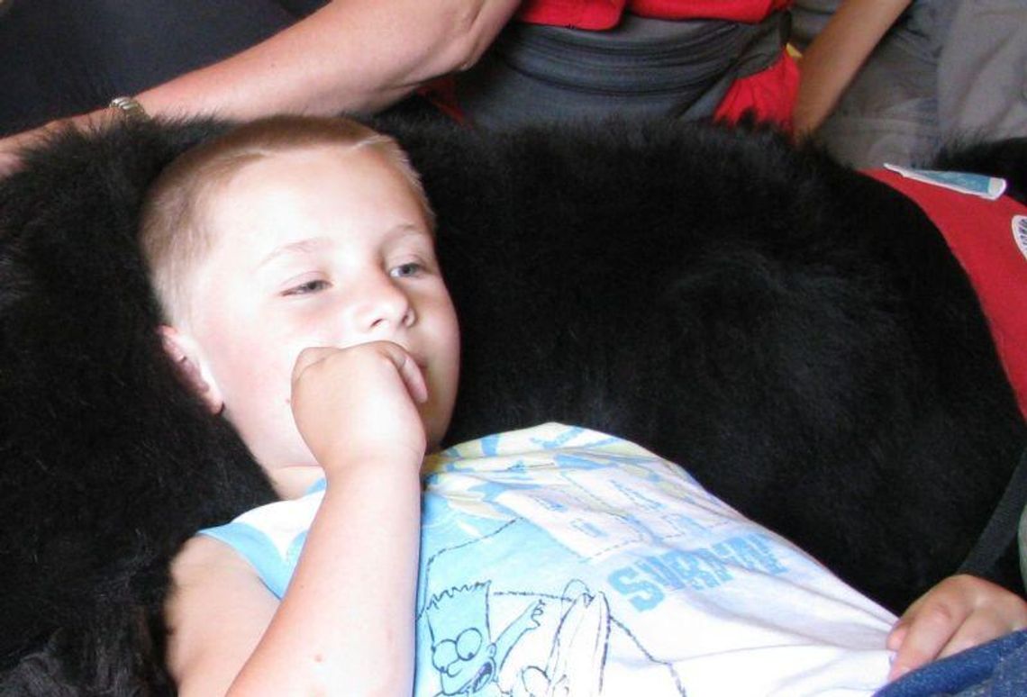 Pomóż Dawidowi, przekaż 1 proc. podatku