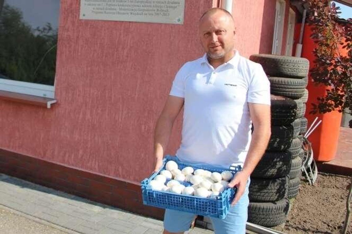 Pomysł na biznes. Pieczarki spod Białej Podlaskiej trafiają nawet do Kazachstanu