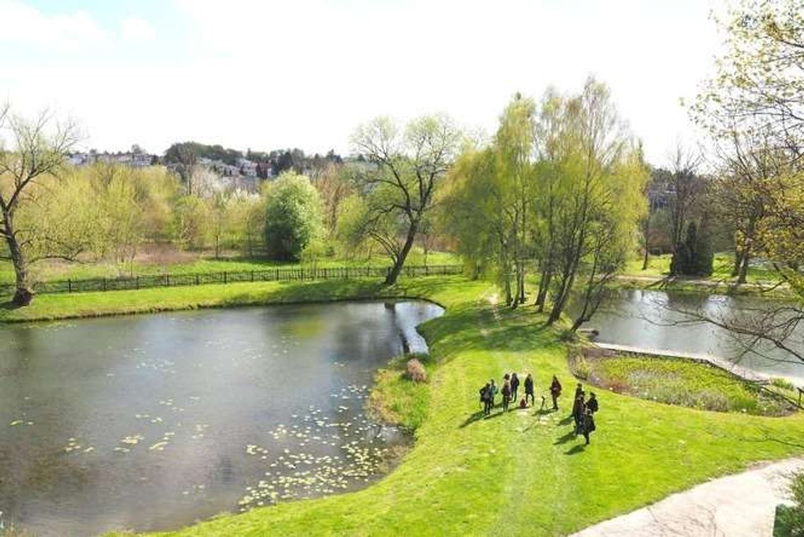 Pomysł na weekend. Na spacer do botanika Pomysł na weekend. Na spacer do botanika