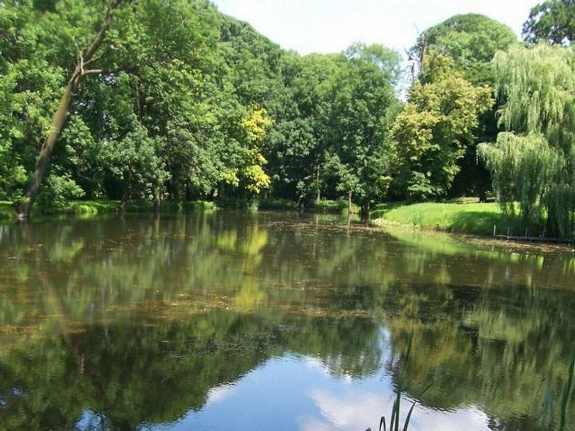 Pomysł na wycieczkę: Park krajobrazowy w Rejowcu Pomysł na wycieczkę: Park krajobrazowy w Rejowcu