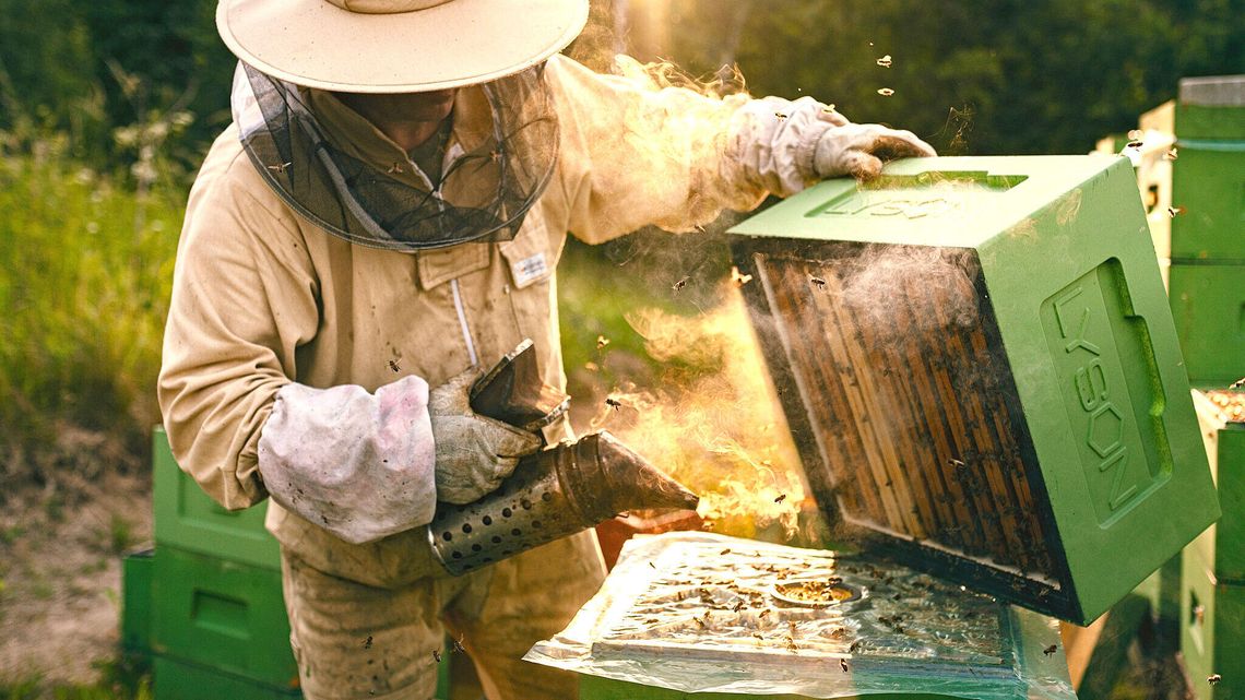Ponad 10 tys. pasiek w lubelskim. Teraz ich właściciele będą zarabiać więcej 