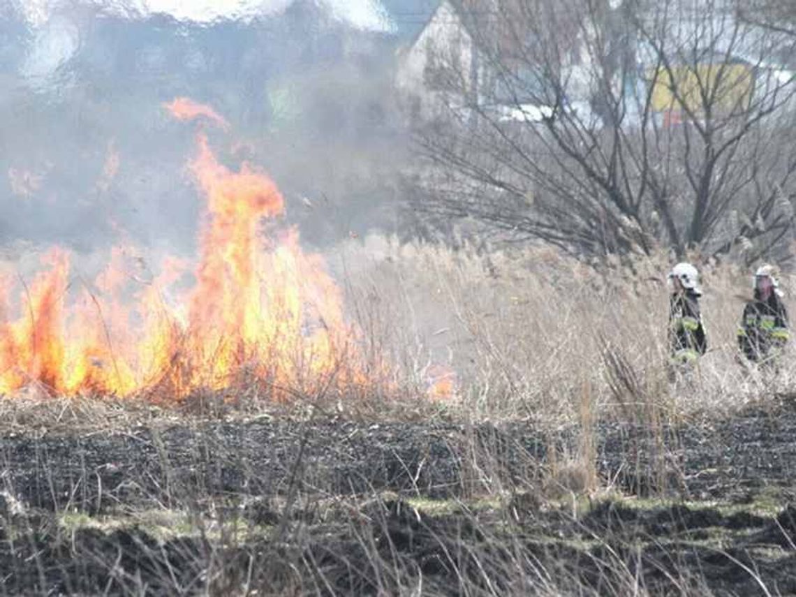 Ponad 11 tysięcy pożarów traw w ostatni weekend 