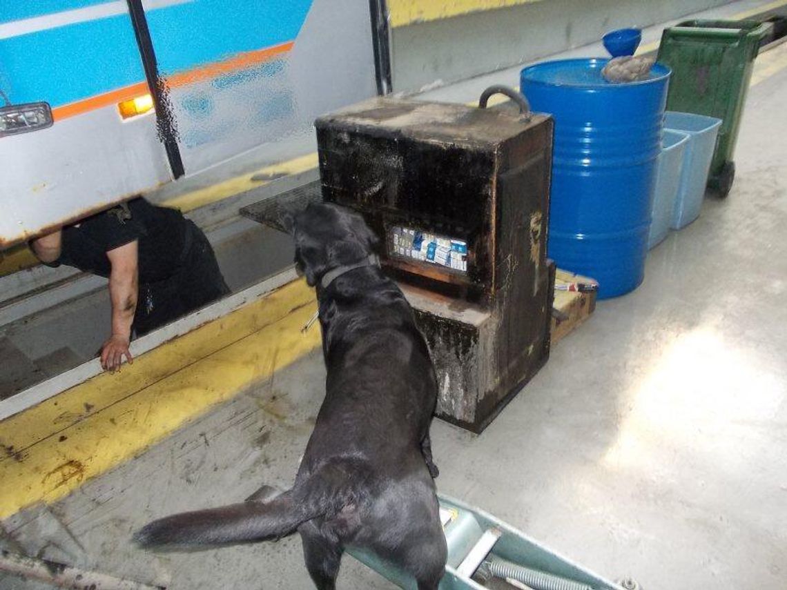 Ponad 2 tys. paczek papierosów ukrytych w baku autobusu